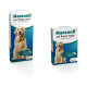 Mansonil All Worm Dog tasty bone für den Hund