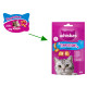 Whiskas Knuspertaschen mit Lachs Katzensnack