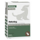 Refordog 250 mg Spot-on Anti-Parasiten für Hunde (10 - 25 kg)