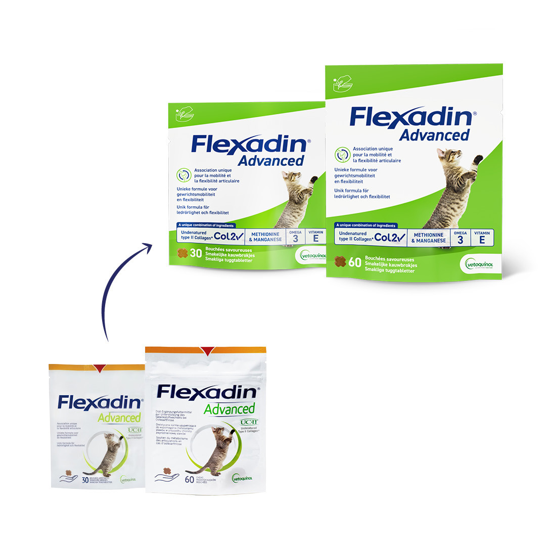 Flexadin Advanced Cat