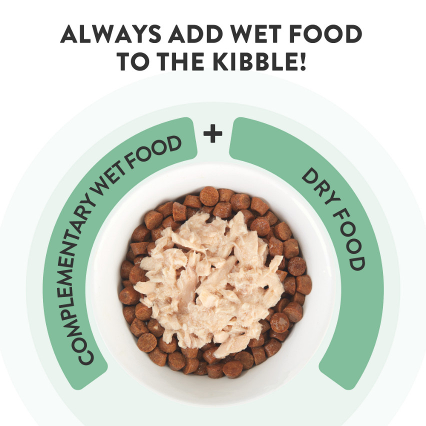 Schesir Tonijn met aloe Schesir Tonijn met aloe