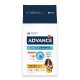 Advance Sensitive Medium Maxi mit Lachs und Reis Hundefutter