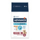 Advance Maxi Senior mit Huhn und Reis Hundefutter