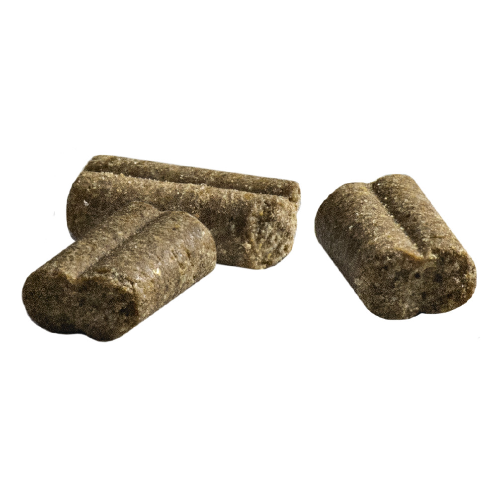 Prins ProCare Senior Hypoallergenic mit Lamm & Reis Hundefutter