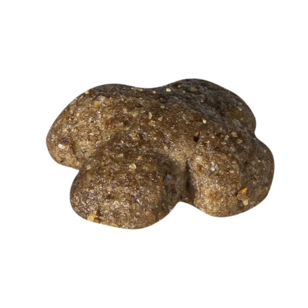 Prins Fit Selection mit Lamm und Reis Hundefutter