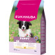 Eukanuba Puppy Medium Huhn Hundefutter