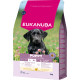 Eukanuba Puppy Large Huhn Hundefutter