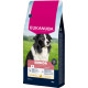 Eukanuba Senior Medium Huhn Hundefutter