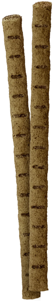 Vitakraft Insectstick hondensnack (2 x 12 g) Vitakraft Insectstick hondensnack (2 x 12 g)