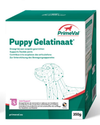 Primeval Puppy Gelatinate für Hunde