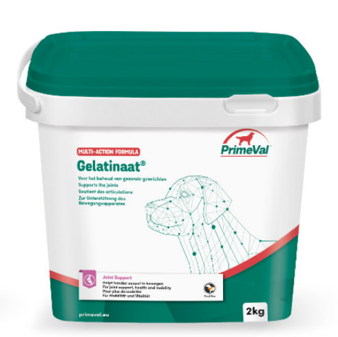 Primeval Gelatinaat Primeval Gelatinaat