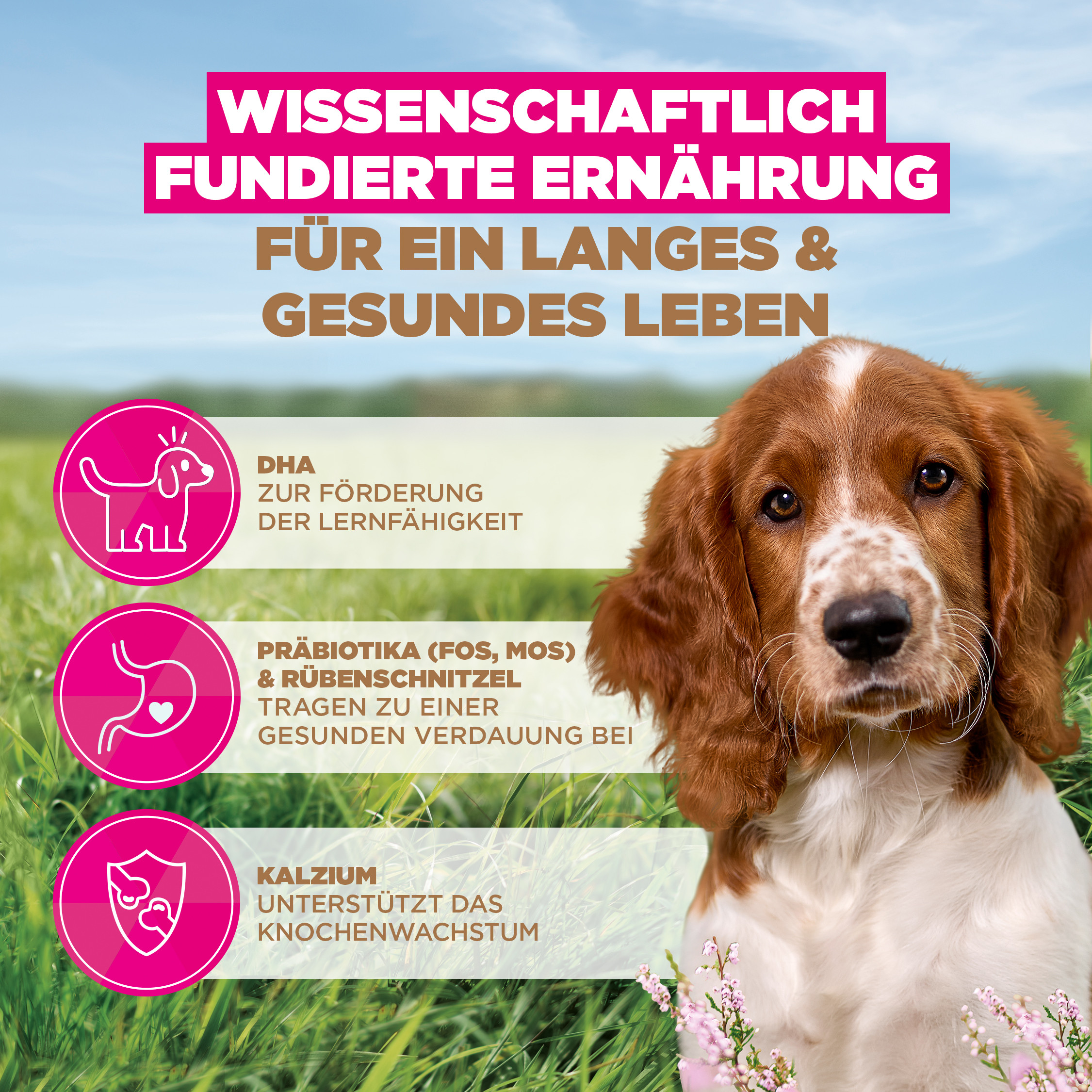 Eukanuba Puppy & Junior S/M graanvrij zeevis hondenvoer