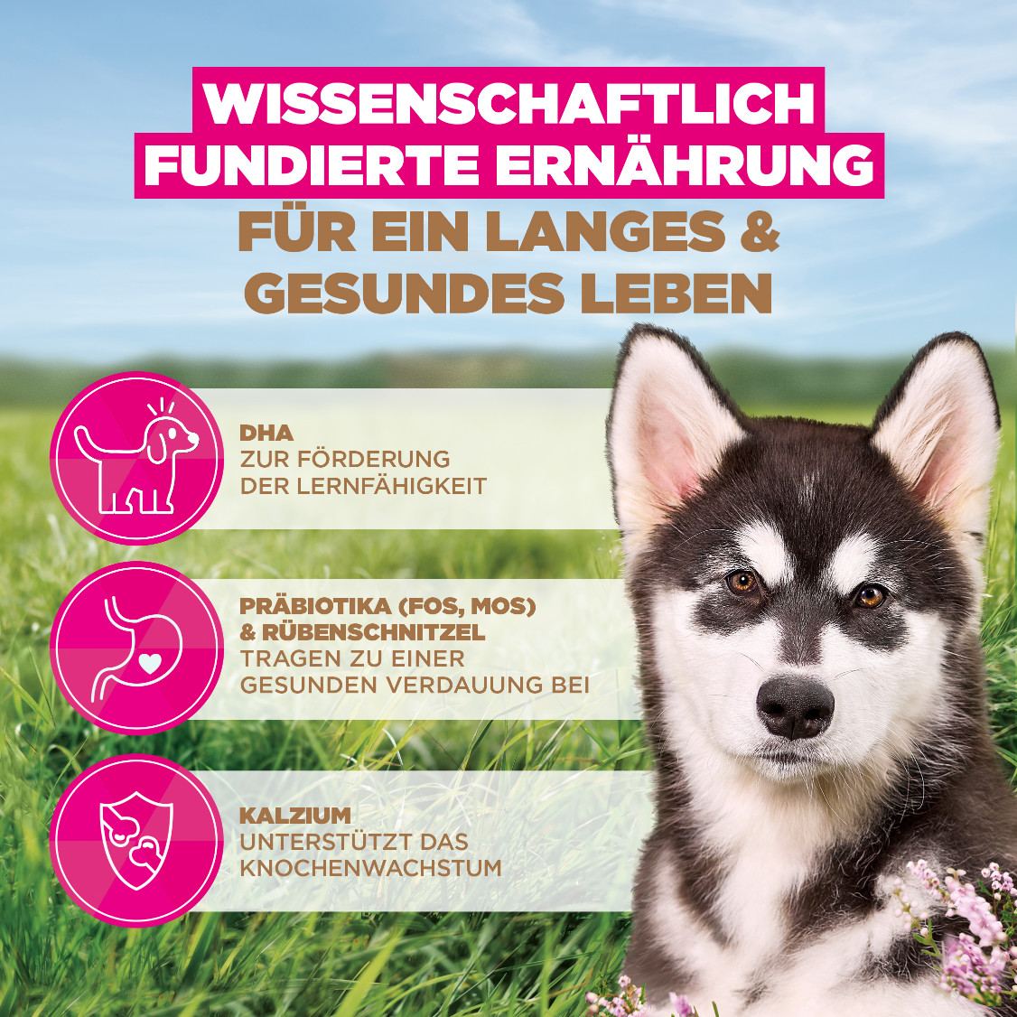 Eukanuba Puppy & Junior L/XL graanvrij zeevis hondenvoer