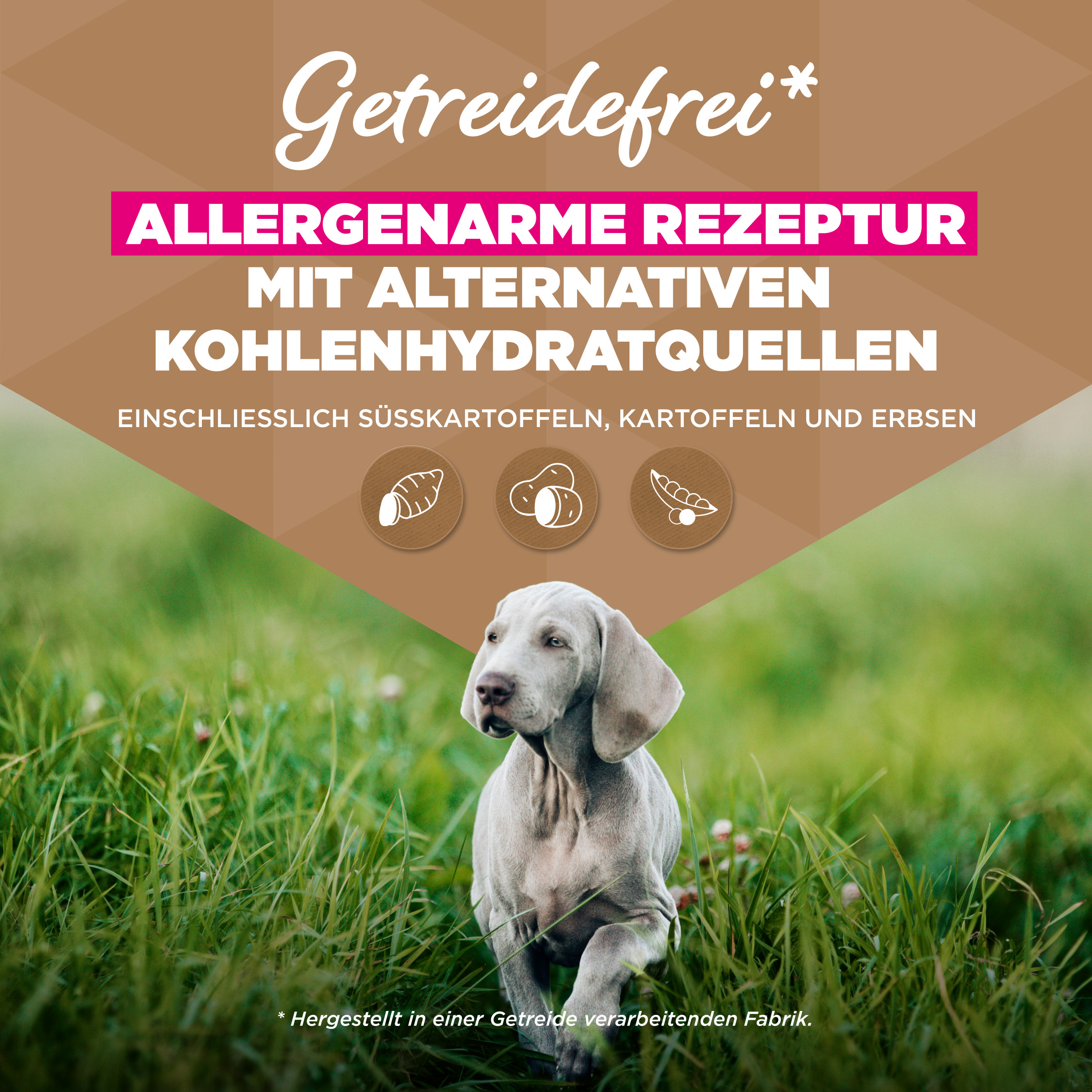 Eukanuba Puppy & Junior L/XL graanvrij zeevis hondenvoer
