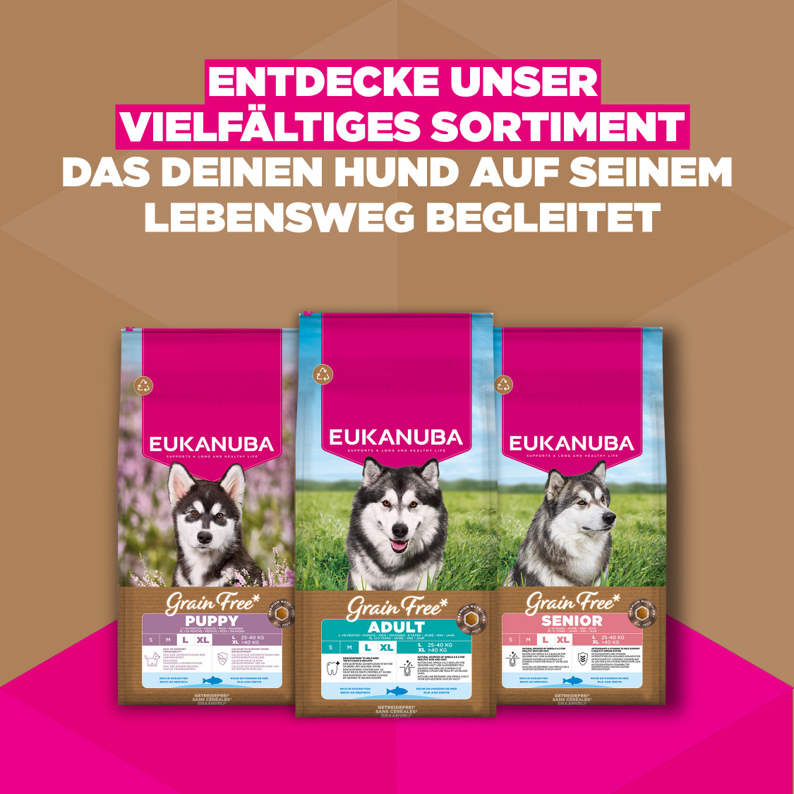 Eukanuba Puppy & Junior L/XL graanvrij zeevis hondenvoer