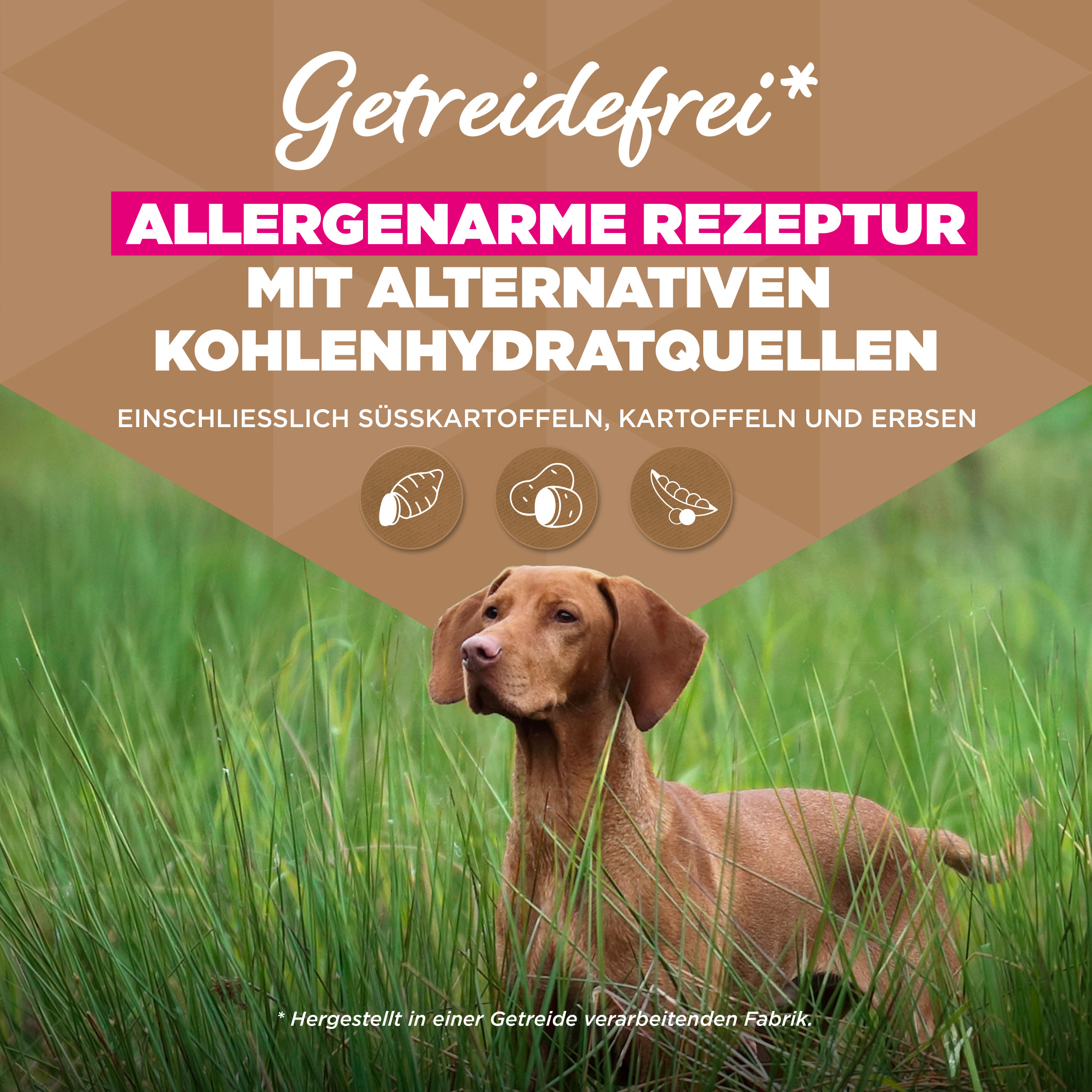 Eukanuba Adult L/XL graanvrij zeevis hondenvoer