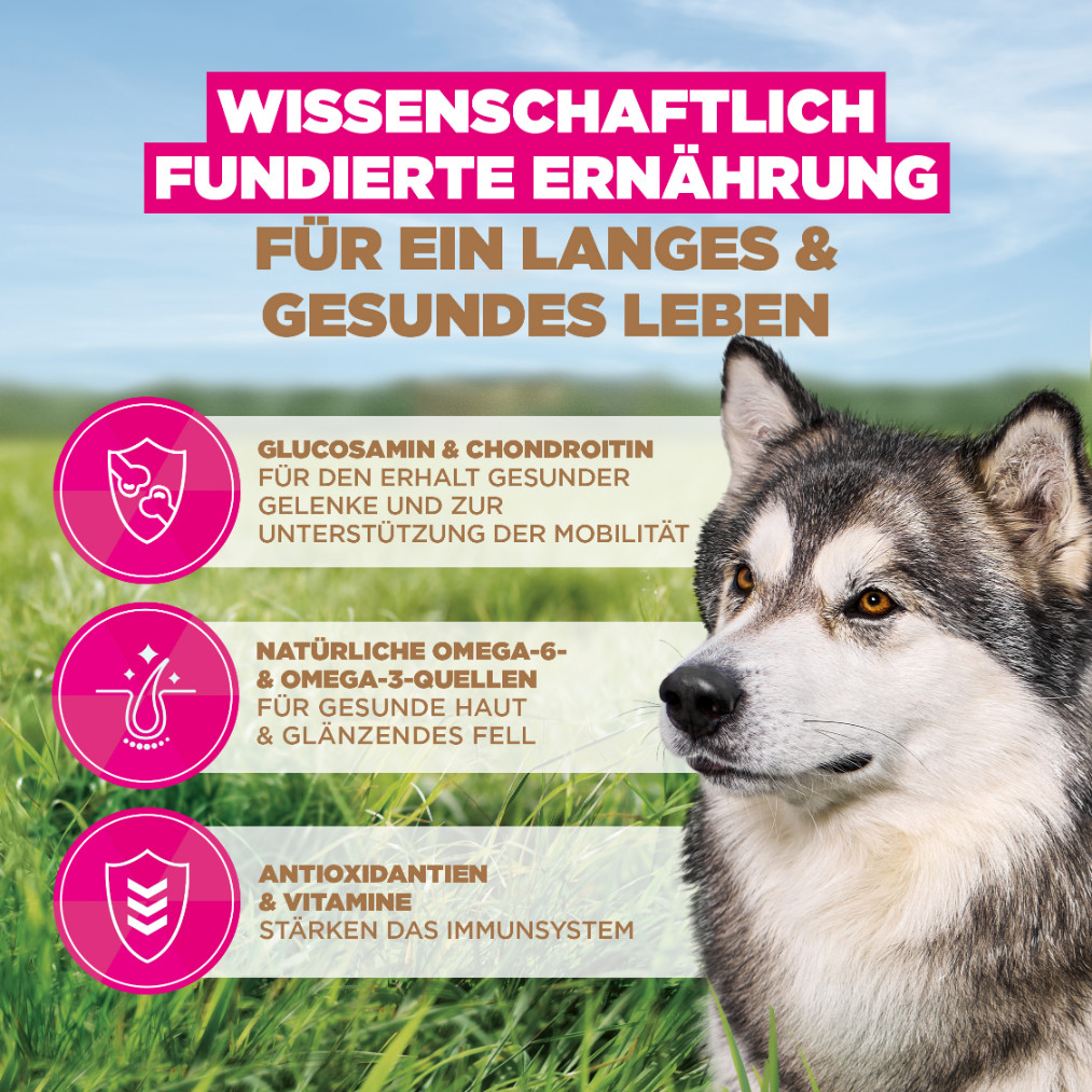 Eukanuba Senior Large met oceaanvis graanvrij hondenvoer