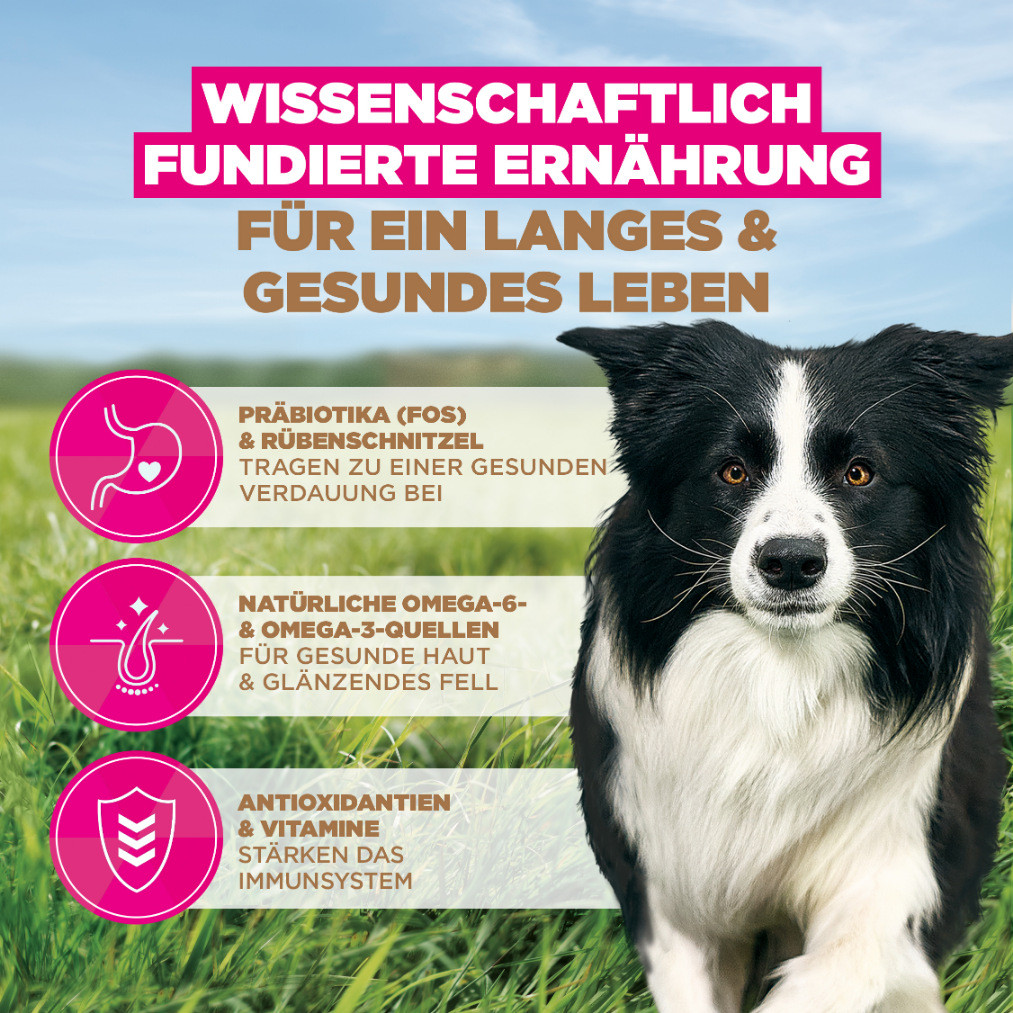 Eukanuba Adult Small & Medium kip graanvrij hondenvoer