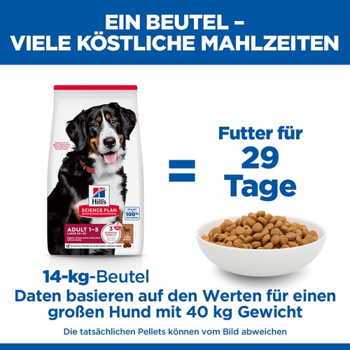 Hill's Adult Large Breed Lamm & Reis Hundefutter