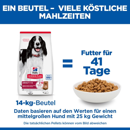 Hill's Adult Medium Lamm & Reis Hundefutter