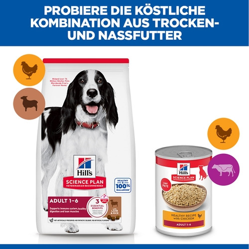 Hill's Adult Medium Lamm & Reis Hundefutter