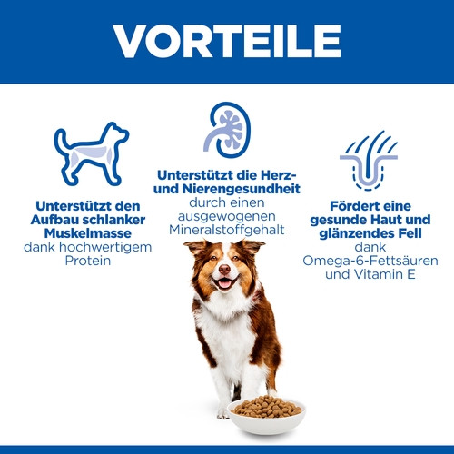 Hill's Mature Adult 7+ Medium mit Huhn Hundefutter