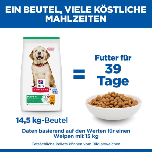 Hill's Puppy Large Breed Huhn Hundefutter