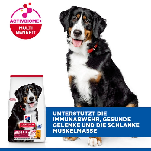 Hill's Adult Large Breed Huhn Hundefutter