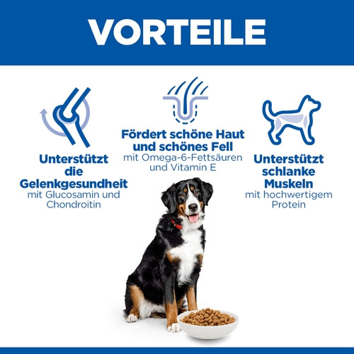 Hill's Adult Large Breed Huhn Hundefutter