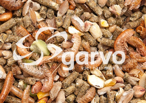 Garvo Algagrow Pride 2080 Futter für Küken