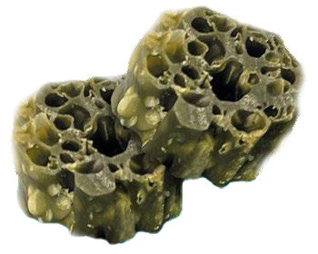 Knash Dental Woofa Bites met pepermunt, peterselie en kokosolie hondensnack