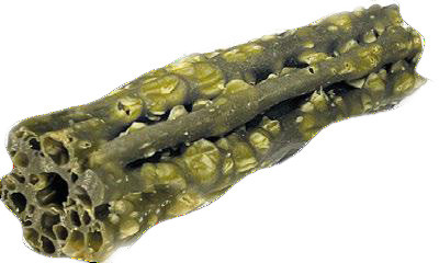 Knash Dental Woofa Loofa Sticks met pepermunt, peterselie en kokosolie hondensnack