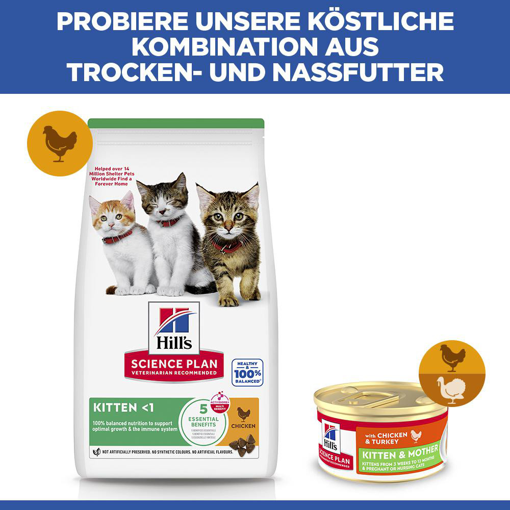 Hill's Kitten & Mother Tender Mousse nat kattenvoer met kip en kalkoen blik