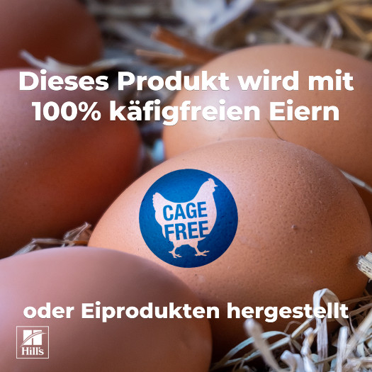 Hill's Kitten & Mother Tender Mousse nat kattenvoer met kip en kalkoen blik