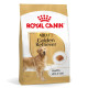 Royal Canin Adult Golden Retriever Hundefutter