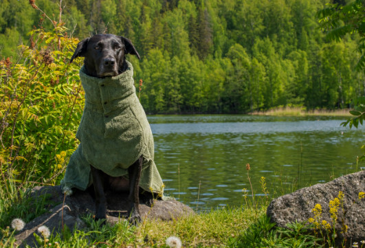 Rukka - Medea x Bathrobe badjas olijfgroen voor de hond