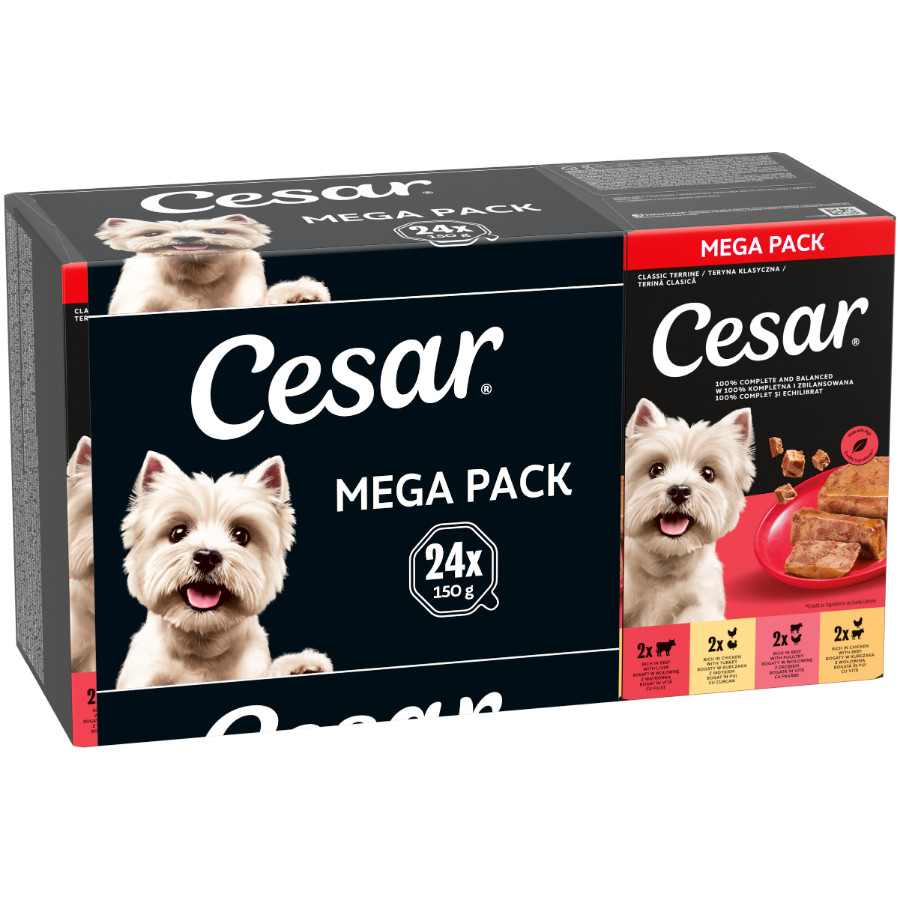 Cesar Classic Mix Paté multipack natvoer hond maaltijdkuipjes 150gr
