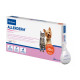 Virbac Allerderm Spot-on für kleiner Hund und Katze (bis 10 Kilogramm)
