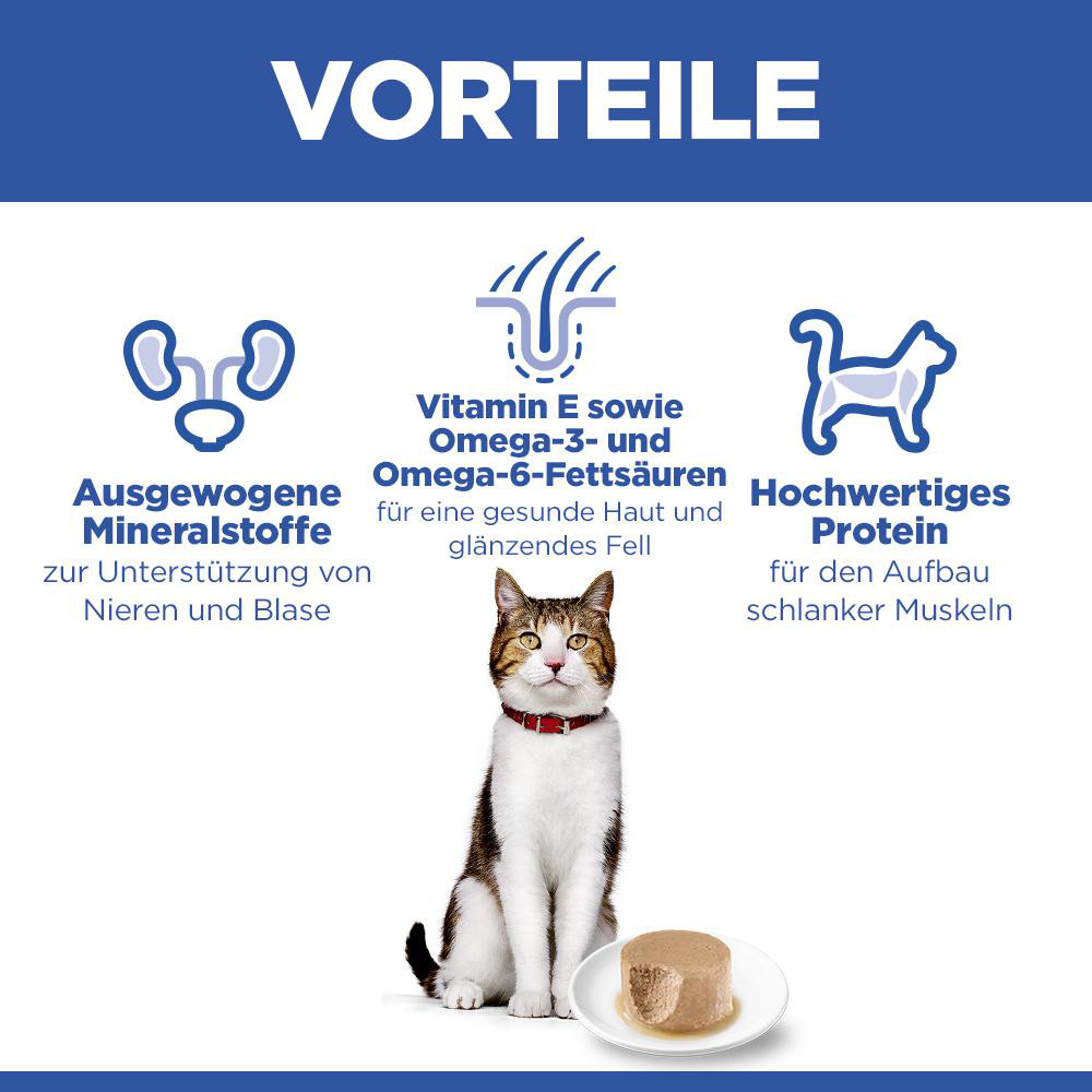 Hill's Mature Adult mit Lachs Katzen-Nassfutter (Mousse, Dose)