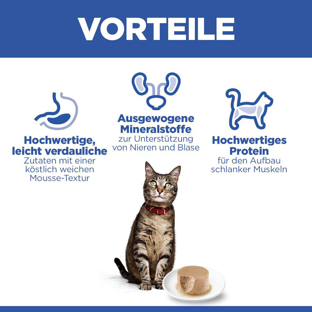 Hill's Adult mit Lachs Katzen-Nassfutter (Mousse, Dose)