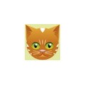 Katze