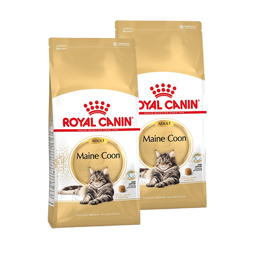 Immagine di 2 x 10 kg Royal Canin Gatto Maine Coon 31 Adult
