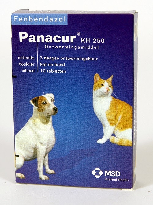 Panacur 250 Entwurmungsmittel für Hund und Katze 50 Tabletten