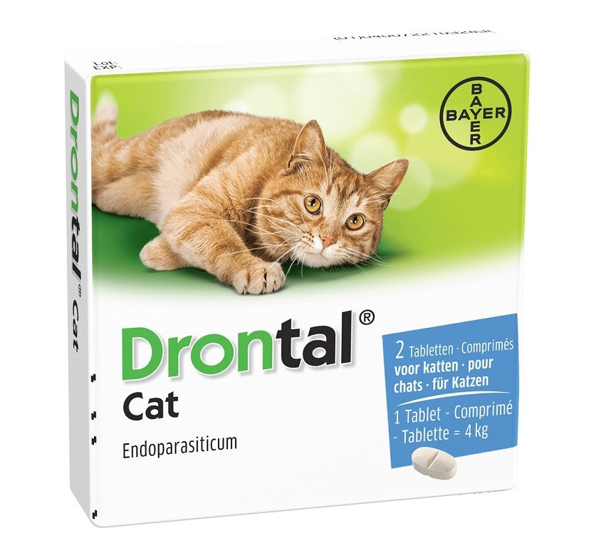 drontal cat vermifuge pour chat 6 comprimés