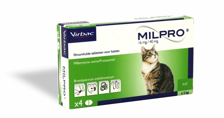 Milpro Grote Kat 4 Tabletten