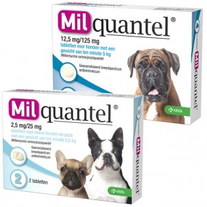 Milquantel Entwurmungstabletten für den Hund Hund 5+ kg 4 Tabletten