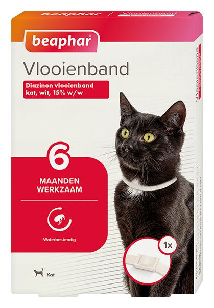 BEA VLOOIENBAND KAT WIT 00001