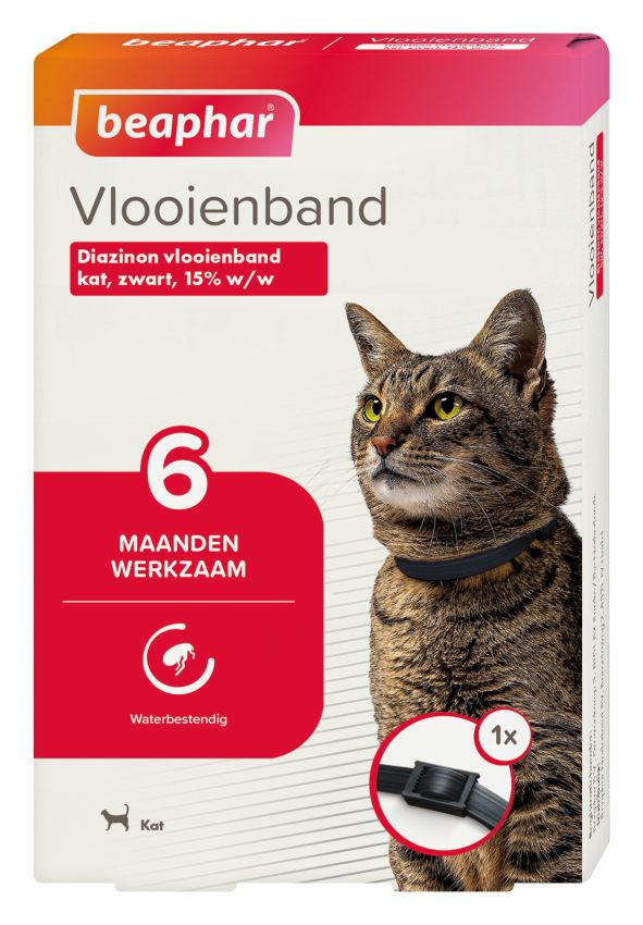 BEA VLOOIENBAND KAT ZWART 00001