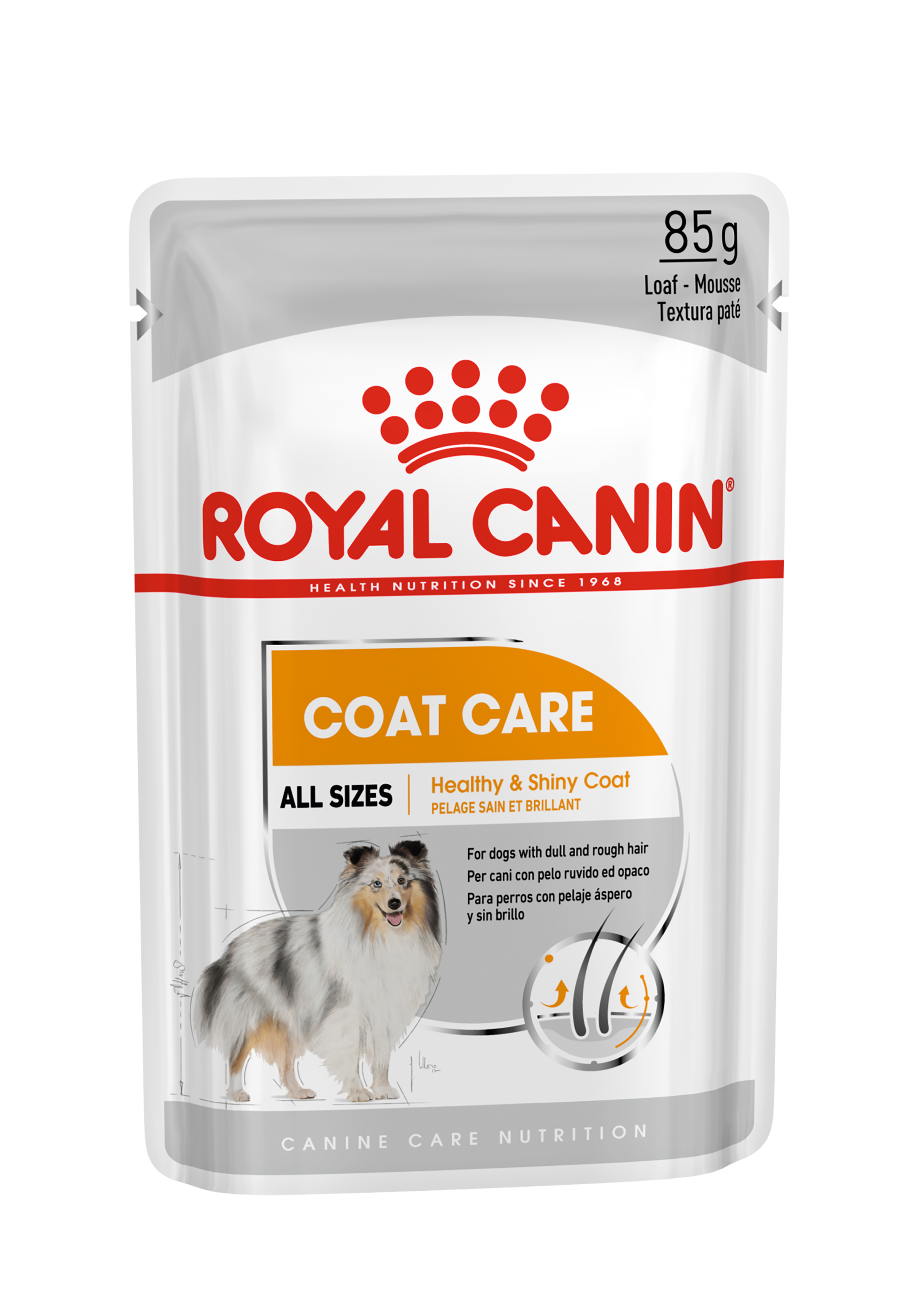 Afbeelding Royal Canin Coat Care Wet - 12 x 85 g door Brekz.nl