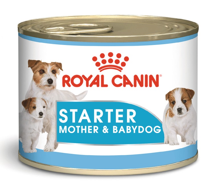 Afbeelding Royal Canin Starter Mousse Mother & Babydog - 12 x 195 g door Brekz.nl